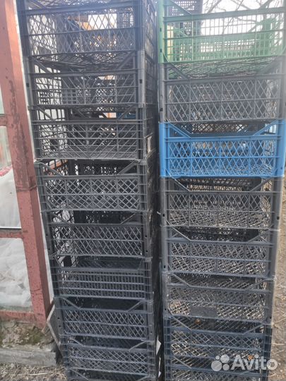 Пластиковые ящики для овощей бу