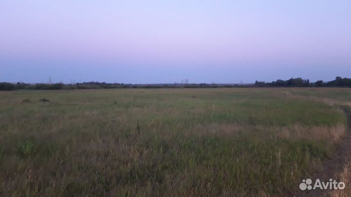 Сено в рулонах