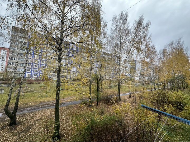 1-к. квартира, 33,6 м², 2/5 эт.