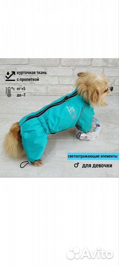 Одежда для маленьких собак