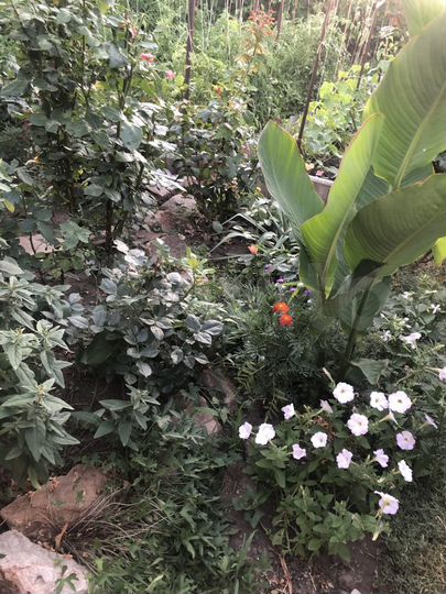 Дом 80 м² на участке 6 сот.