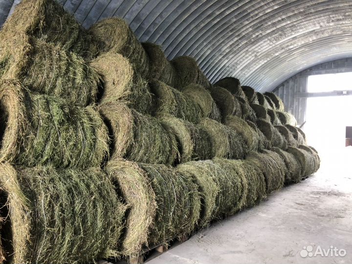 Сено в рулонах