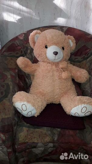 Медведь. Большой