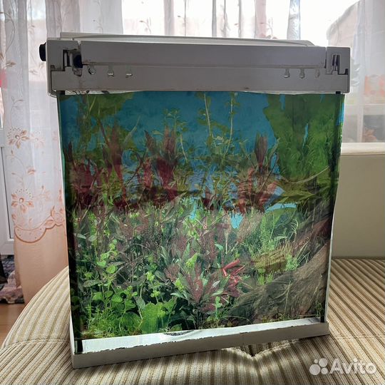 Аквариум 30 литров
