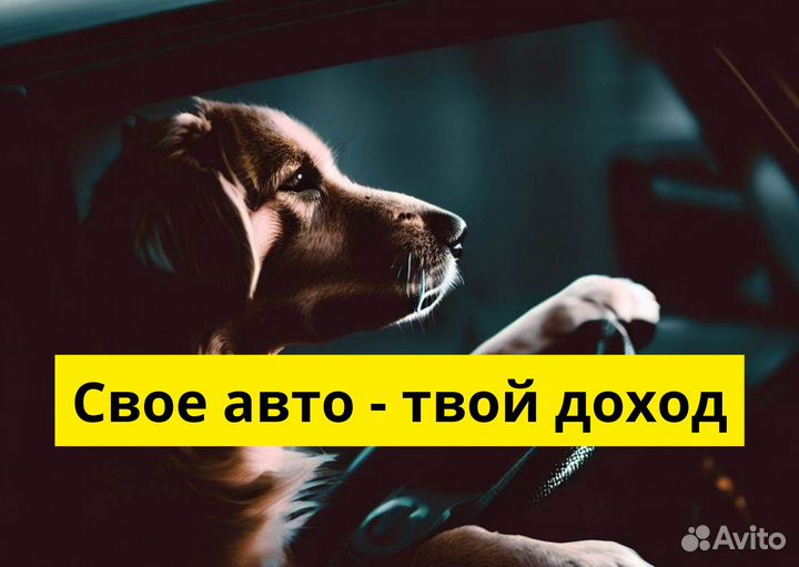 Личный транспорт и работа в Яндкс GO