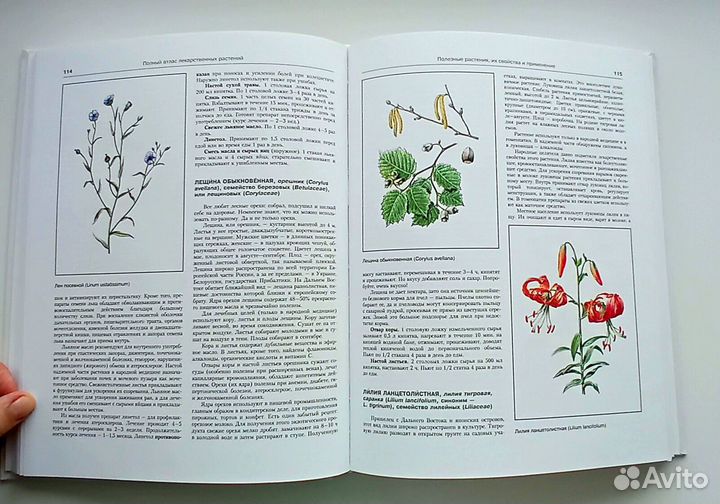 Книги про лекарственные растения, определители