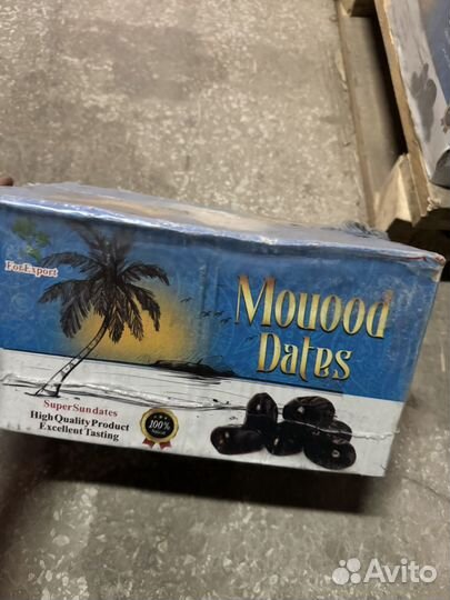 Финики иранские свежие