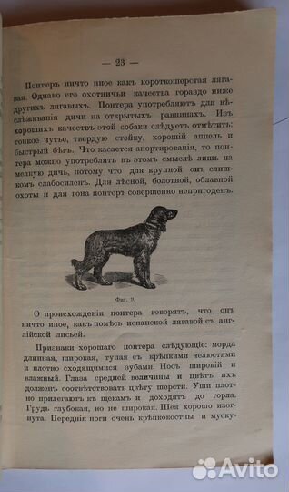 Эбергард Г. Собака, породы ея. СПб., 1912