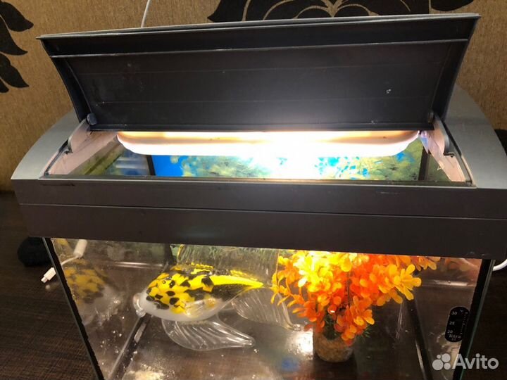 Аквариум 20л