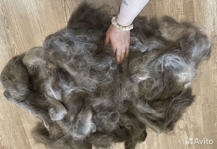 Собачья шерсть пух чистокровной якутской лайки