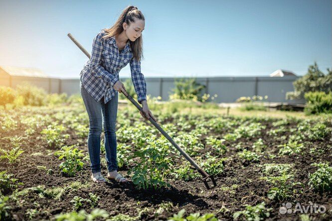 Сотрудники на прополку Ежедневная оплата