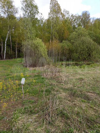 Участок 10 сот. (СНТ, ДНП)