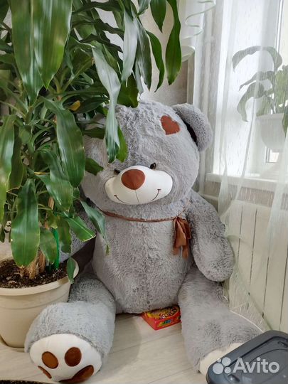 Большие плюшевые медведи