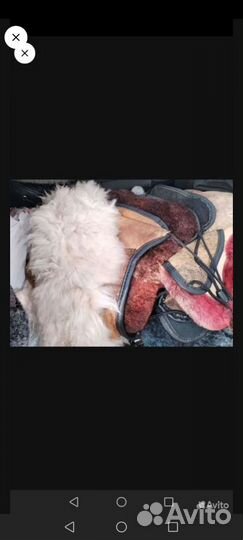 Детскии Шапки натуральные новые