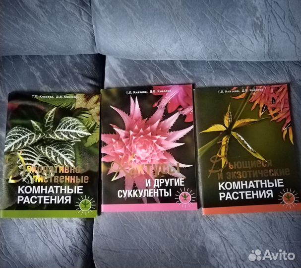 Книга комнатные растения суккуленты кактусы