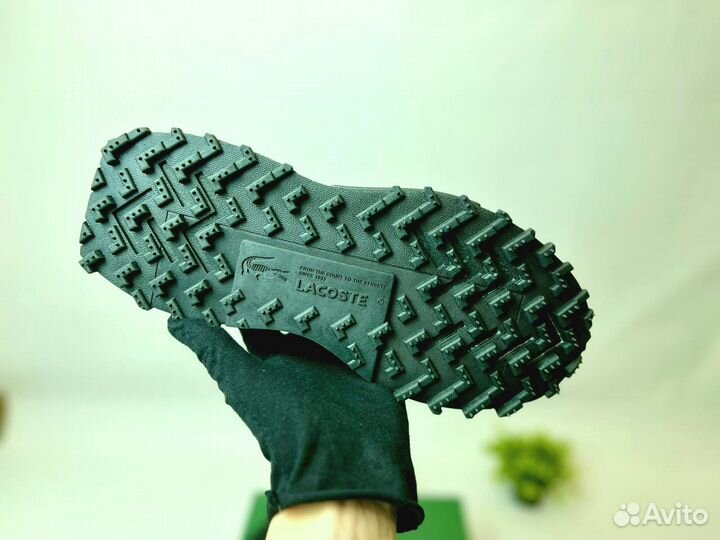 Кроссовки Lacoste premium