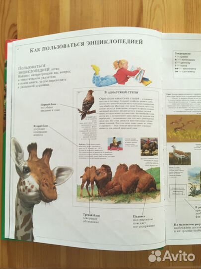 Книги о животных детям