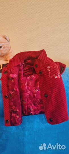 Одежда для собак