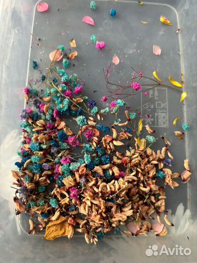 Набор сухоцветов для творчества