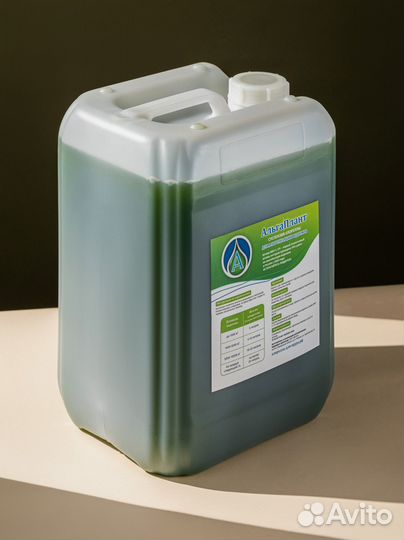 Хлорелла для водоемов