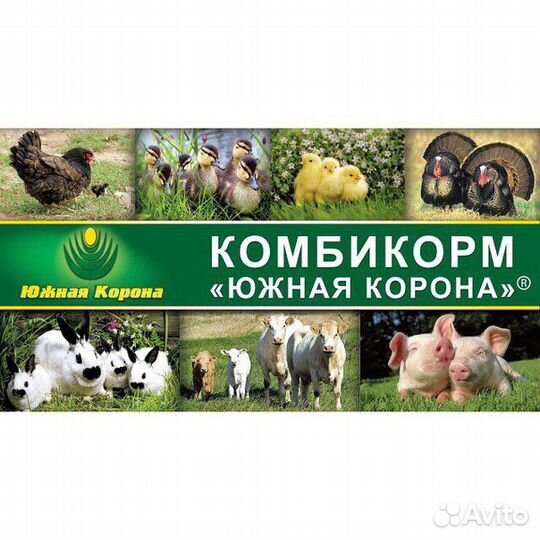 Комбикорм южная корона, брюхокорм