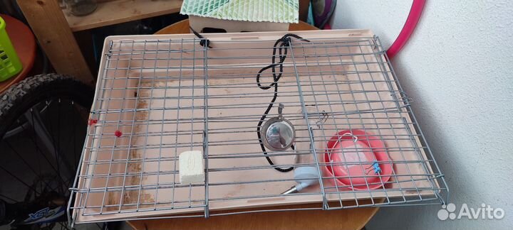 Клетка для морской свинки 65см
