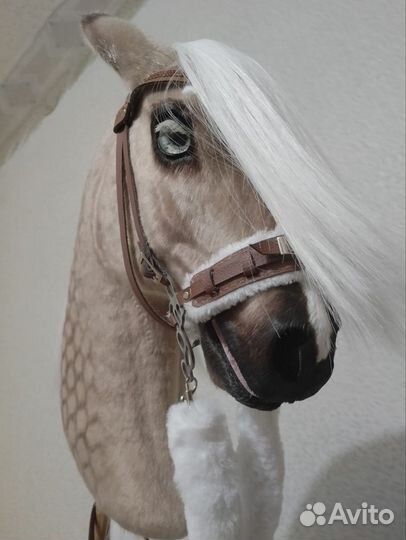 Хоббихорс реалистик