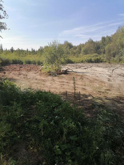 Участок 11,5 сот. (ИЖС)