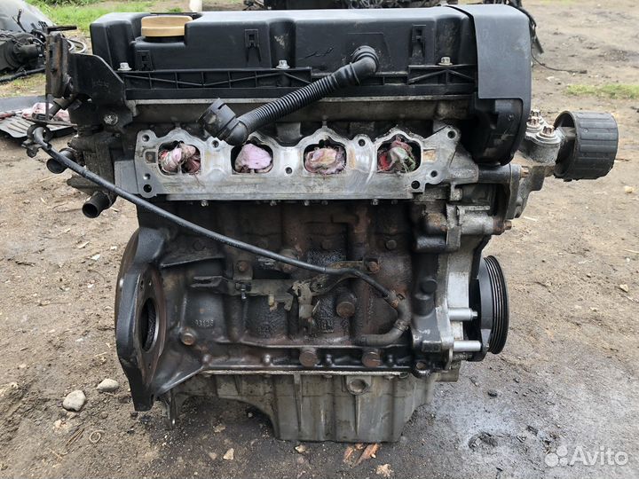 Двигатель Opel Z16XE1