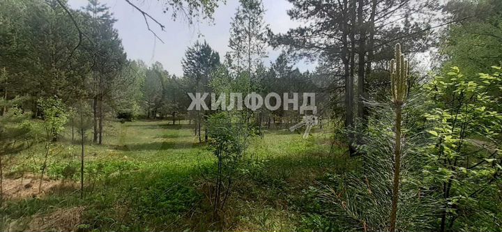 Участок 3,5 га (СНТ, ДНП)