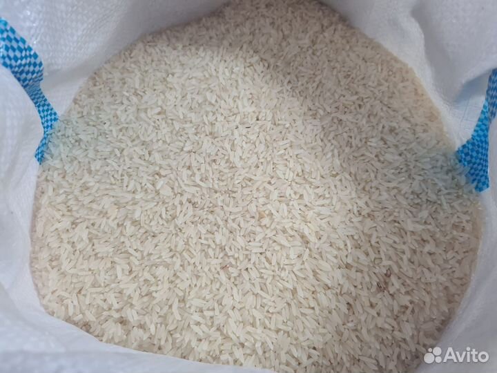 Рис узбекский Лазер (Лазарь)