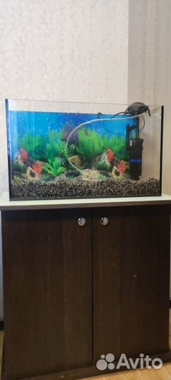Аквариум на 50 л