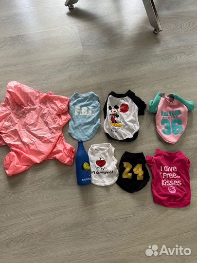 Одежда для маленьких собак