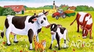 Продам коров