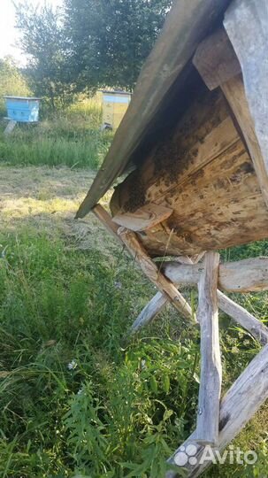Колода для пчел