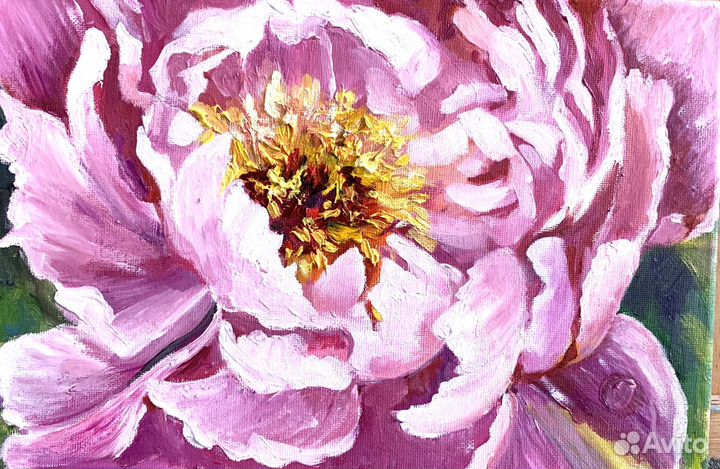 Картина масло холст « Пион»