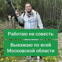 Обработка от комаров — выезд по области, Апрелевка