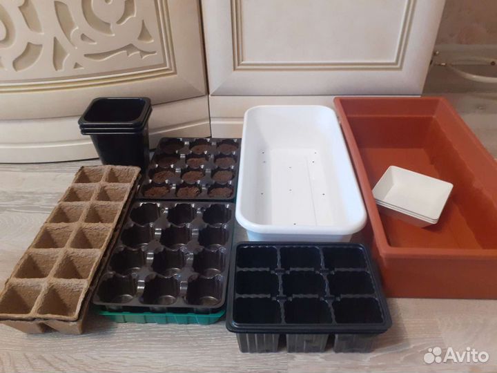 Для рассады