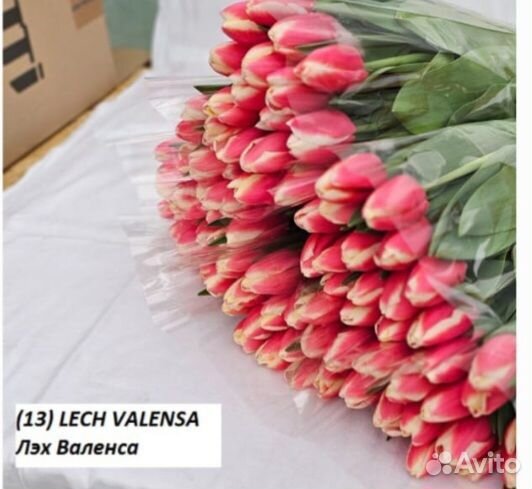 Тюльпаны к 8марта