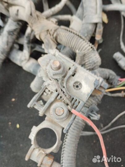 Проводка подкапотная Nissan Murano