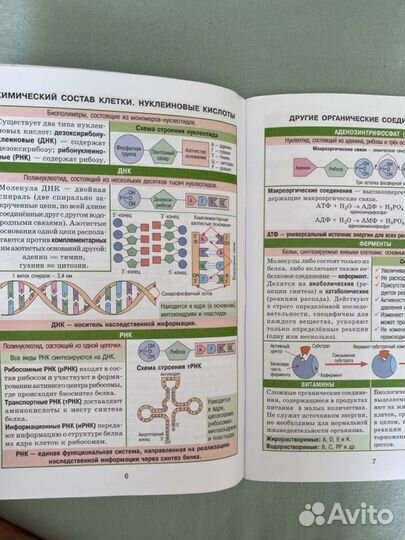 Учебник по биологии к ЕГЭ