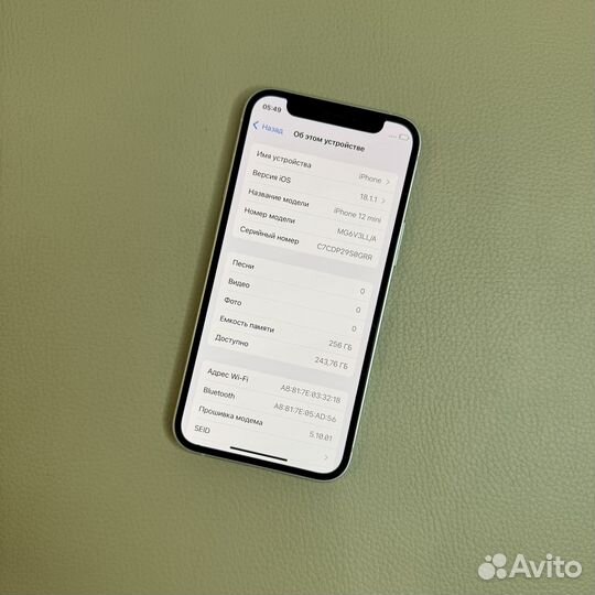 iPhone 12 mini, 256 ГБ