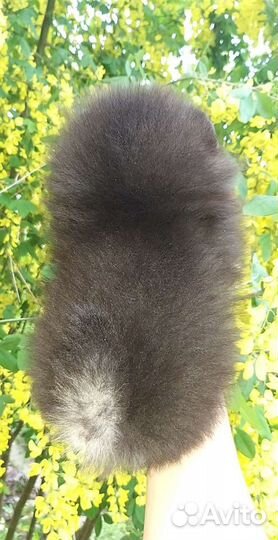 Померанский шпиц чп мишки