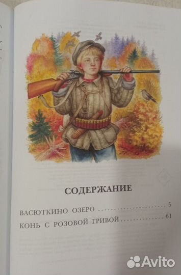 Васюткино озеро/Астафьев В. П. Книга для детей