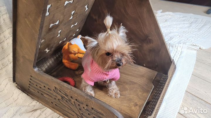 Домик для кошки или собаки