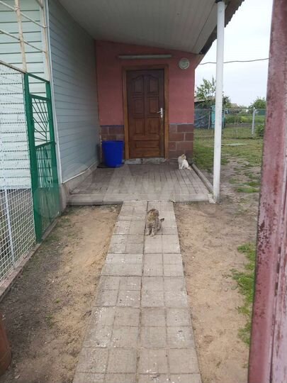 Дом 59,6 м² на участке 25 сот.