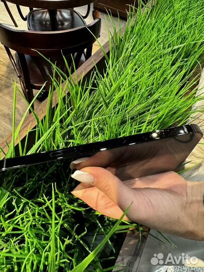 iPhone 14 Pro Max, 256 ГБ