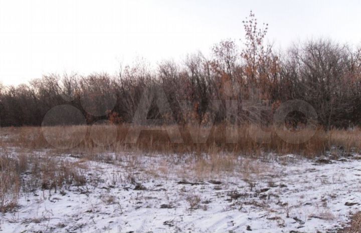 Участок 49,5 сот. (промназначения)