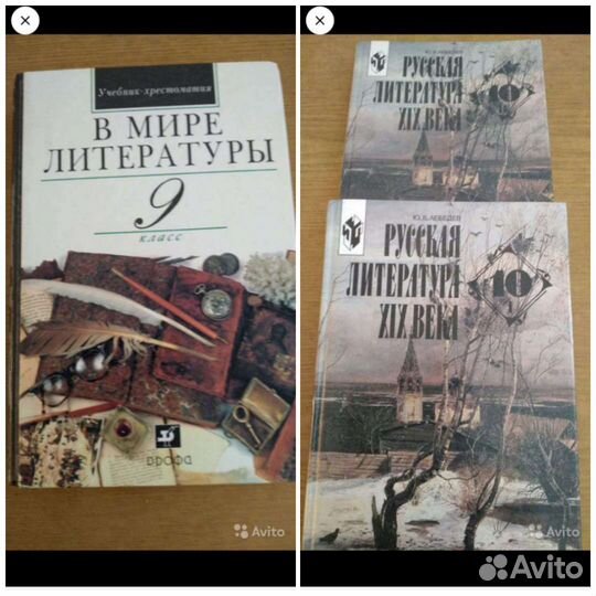 Учебники по литературе дрофа/Лебедев