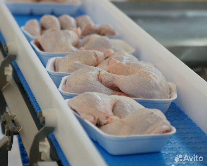 Рабочий по отлову птицы Вахта